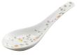 Chinese spoon white background - Raynaud